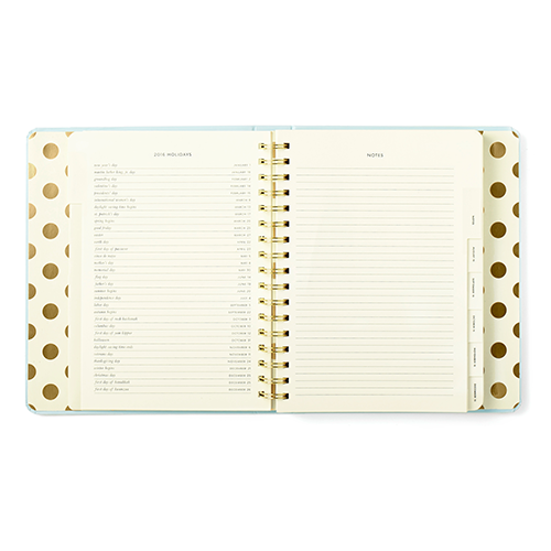 agenda_lrg_quick_n_curious_interior_0