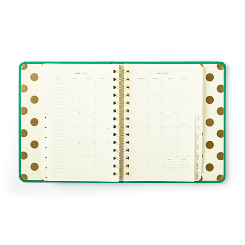 agenda_quick_curious-_interior_1-1